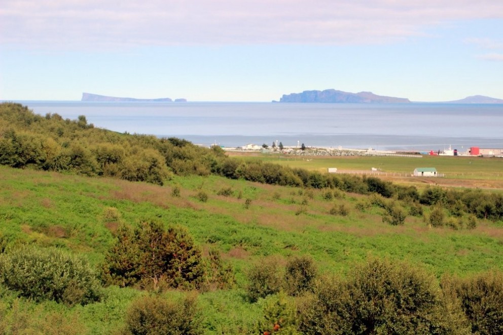Í Skagafirði á fallegum ágústdegi. Mynd: KSE.