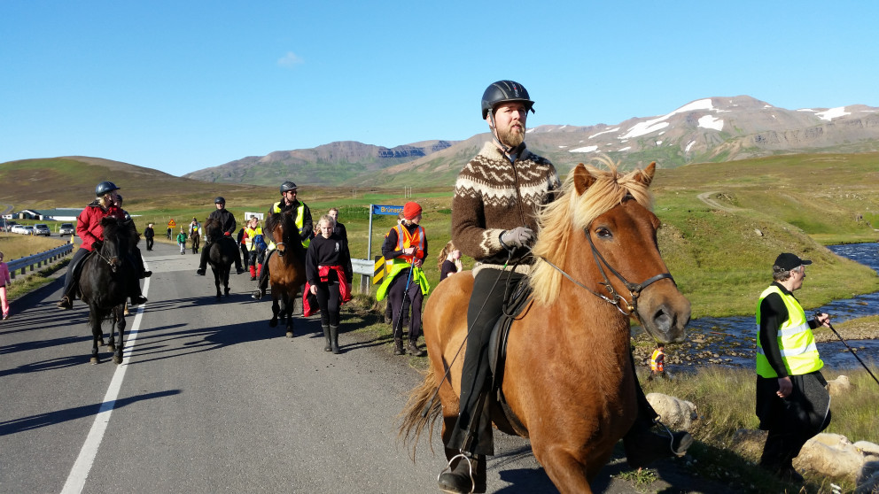 Frá göngum í Fljótum í fyrrahaust. Mynd: KSE