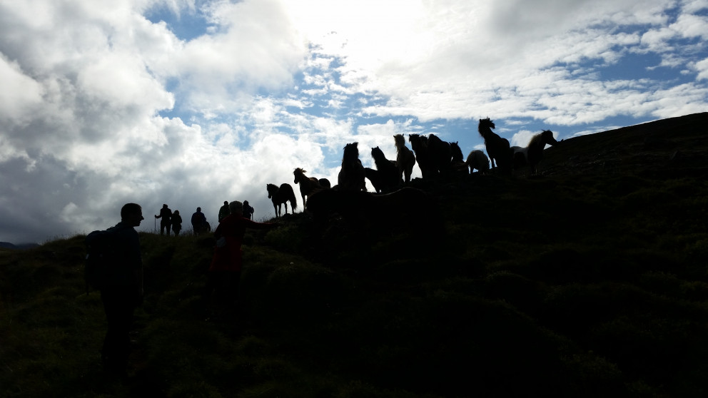 Úr gönguferð Ferðafélags Skagafjarðar í Trölla í sumar. Mynd: KSE