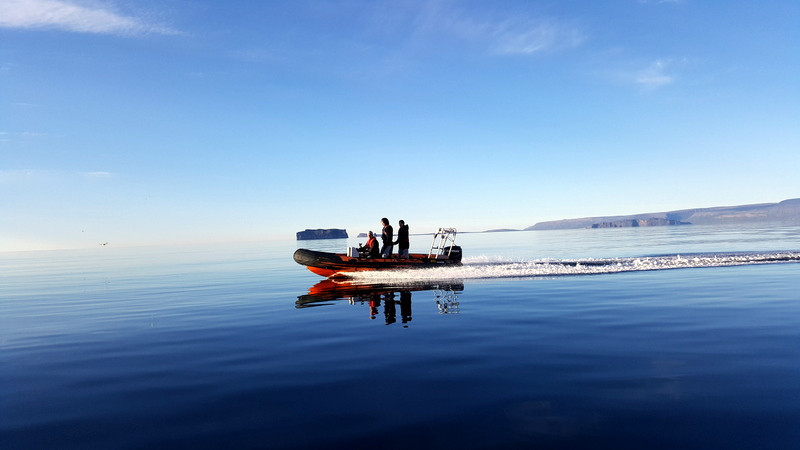 Grálúða og baunasúpa