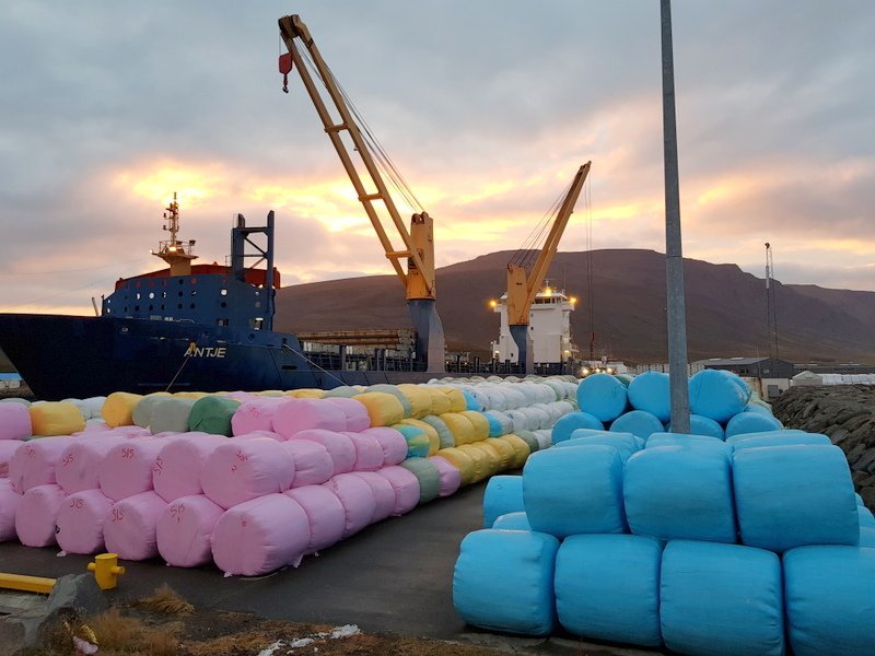 MV Antje við Sauðárkrókshöfn. Mynd: PF.