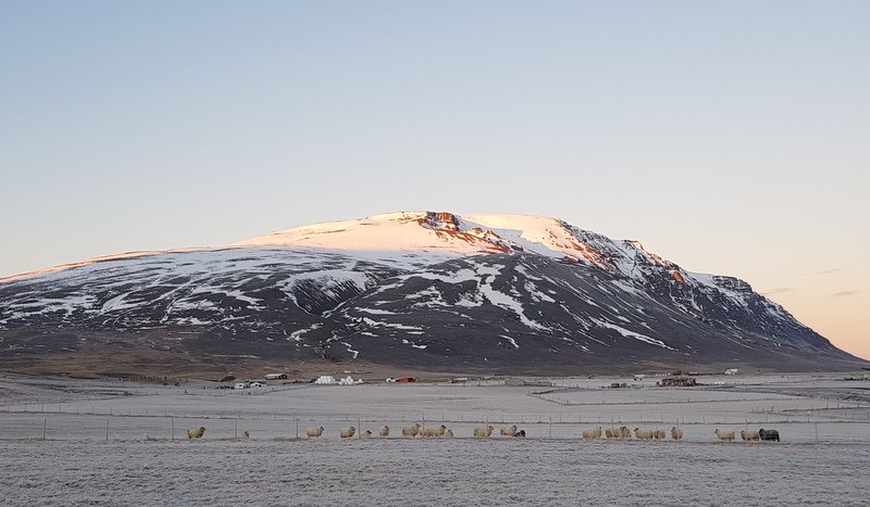 Samkvæmt Aðalskipulagi Sveitarfélagsins Skagafjarðar 2020-2035 er gert ráð fyrir svæði fyrir golfvöll sem nú er nýtt undir frístundabúskap á Nöfum. Vinstra megin við rúllustæðuna má sjá golfskálann á Hlíðarendavelli. Mynd: PF.