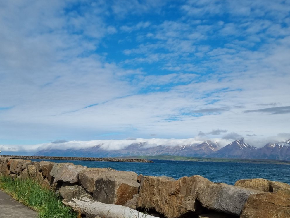 Mynd. Bjór. (En ekki hvað?)