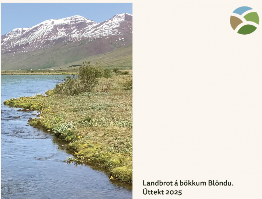 Áhugaverð skýrsla. Mynd: Af netinu.