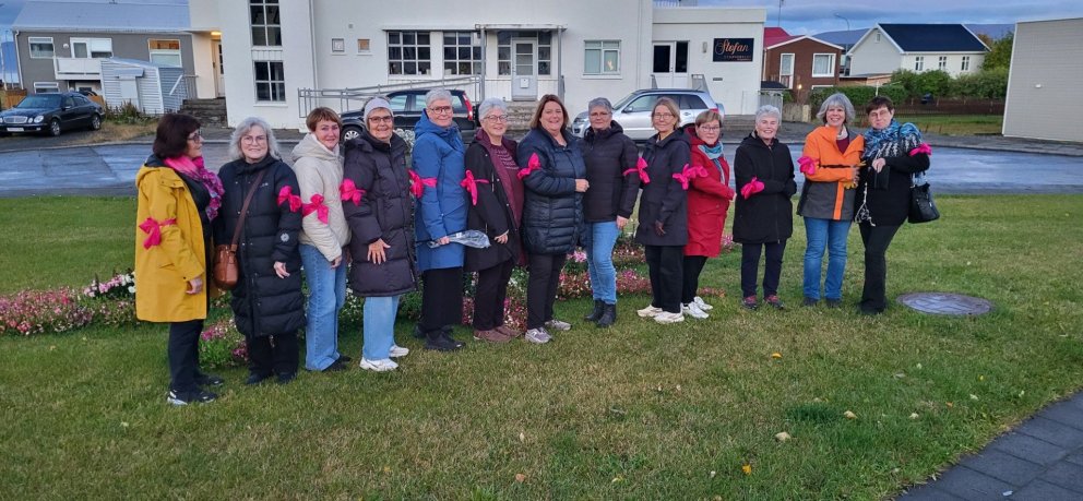 Nokkrar bleikar Bjarkir. Mynd: Aðsend.