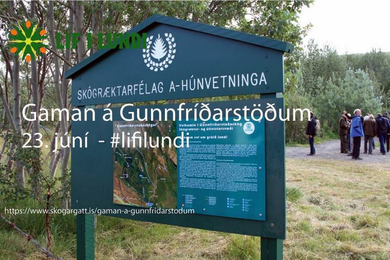 Skógræktarfélag A- Húnvetninga. Mynd. FB - Líf í lundi