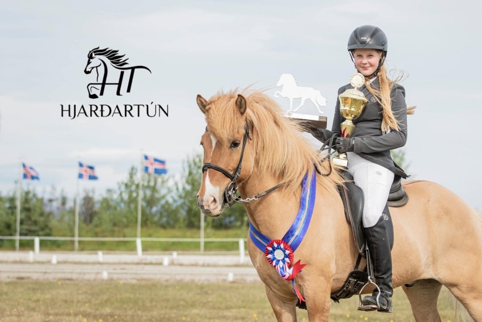 Hjördís Halla og Flipi frá Bergsstöðum. Mynd: Íslandsmót barna- og unglinga
