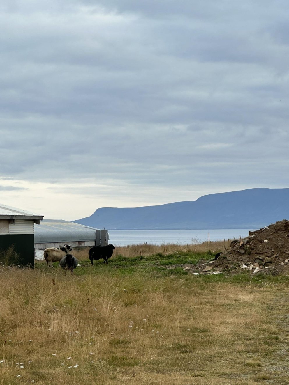 Dagleg staða á Gránumóum MYND:aðsend