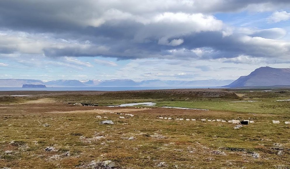 Smalamennska. MYND: GUNNI RÖGG
