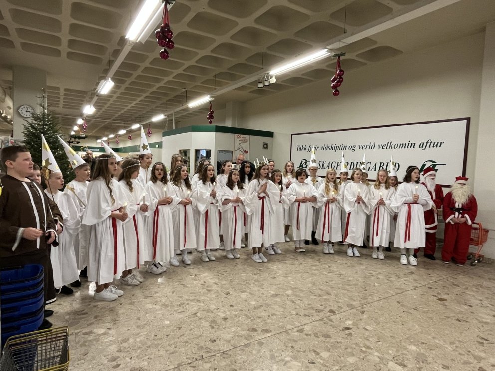 Mynd af hópnum í fyrra. MYND ÁRSKÓLI