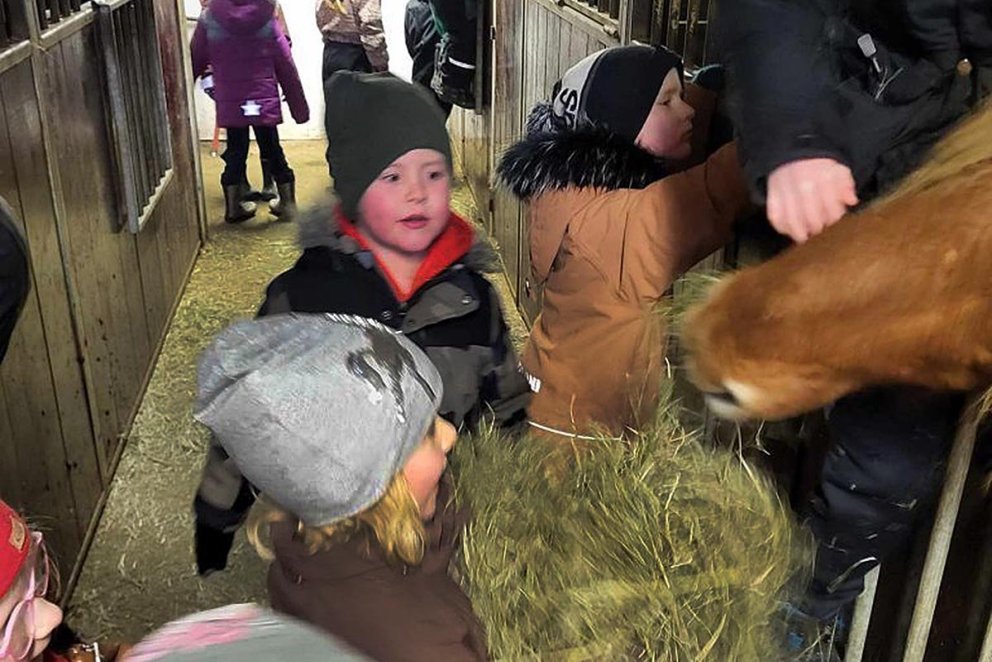 Hasar í hesthúsi. MYNDIR: HÖFÐASKÓLI.iS