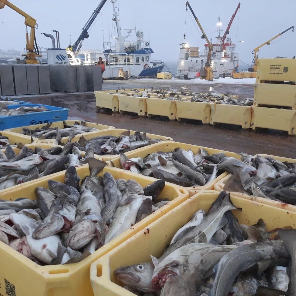 Mynd tekin af Facebook-síðu Skagastrandarhafnar.