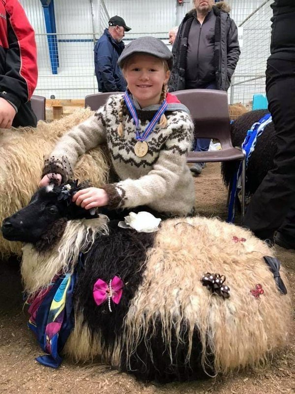 Flott saman á lambasýningu. Myndirnar tók Þórdís Halldórsdóttir.