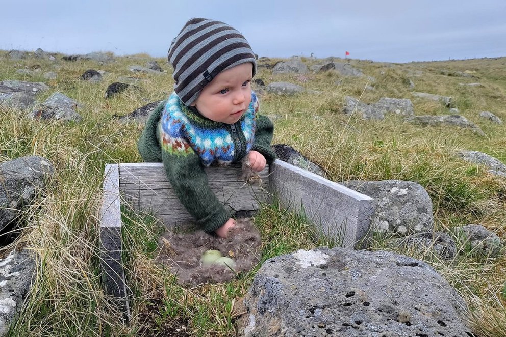 Það hjálpast allir að, ungir sem aldnir, á Hrauni. MYNDIR: GUNNI RÖGG
