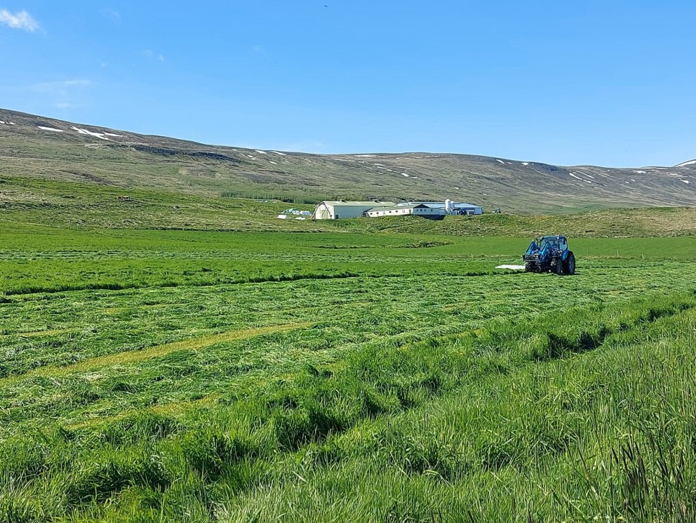 Sláttur á Sólheimum hófst sl. helgi. Mynd: Guðrún Kristín Eiríksdóttir