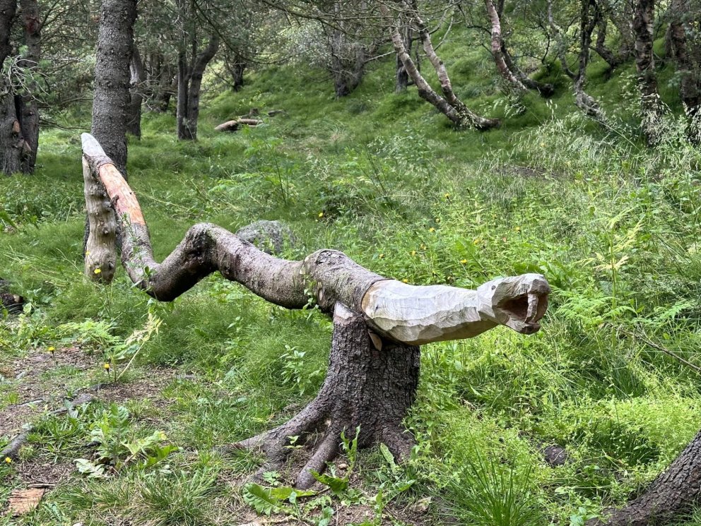 Myndirnar tók Valgeir Kárason.