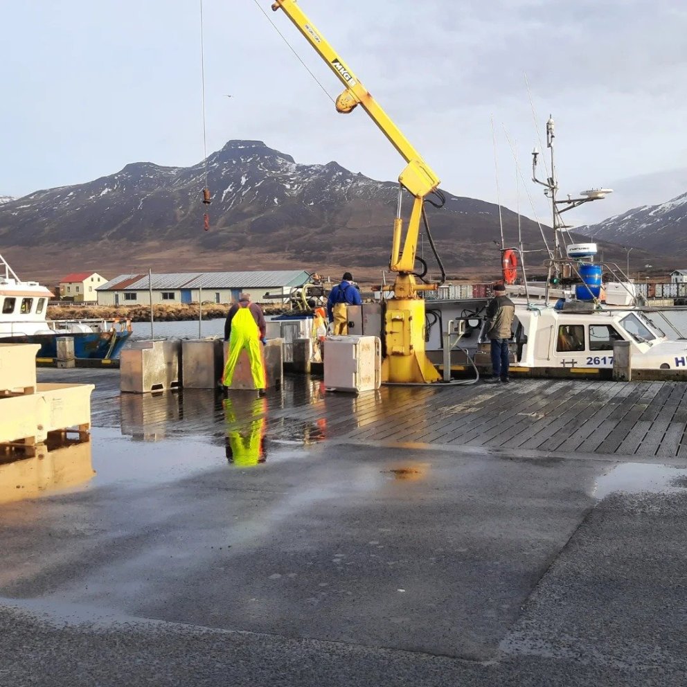 Við löndun á Skagaströnd. Mynd tekin af Facebook-síðu Skagastrandarhafnar.