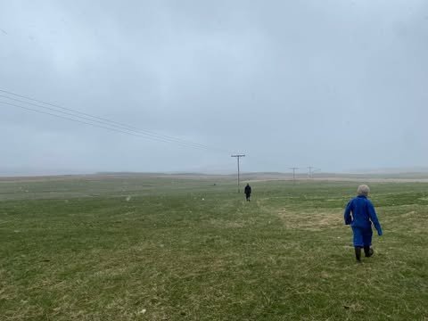 Á þessari mynd er verið að reka lambfé á hús í júní áður en fór að snjóa.MYND GG