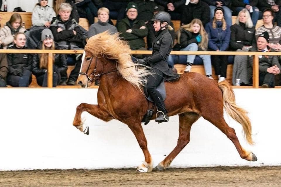 MYND SKAGFIRÐINGUR