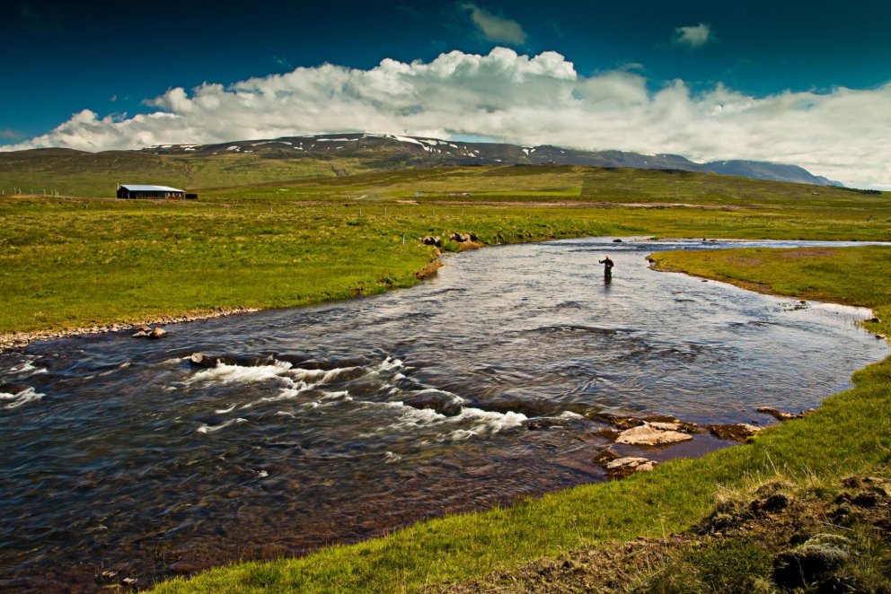 Frá Laxá á Ásum. Mynd: asum.is