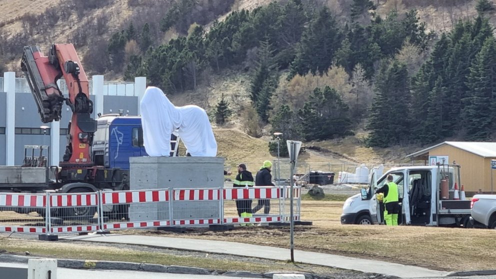 MYND Sigfús Ingi Sigfússon.