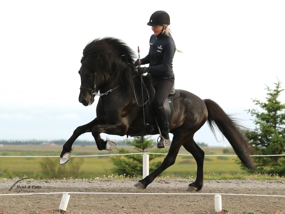 Hannibal frá Þúfum og Mette Mannseth.