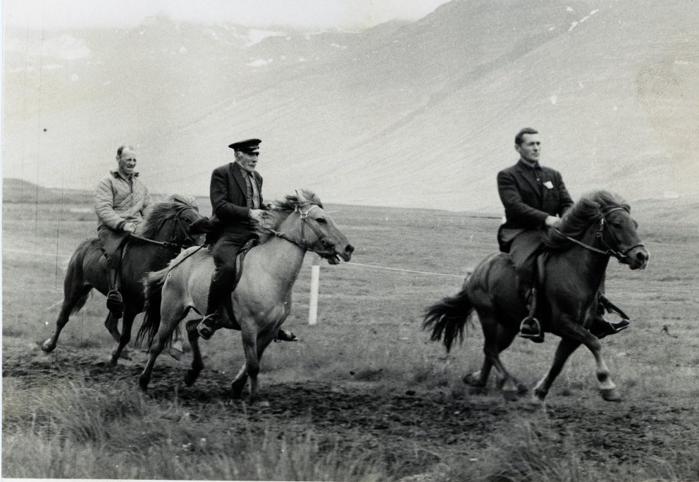 Björn Jóhannesson, Höskuldur Eyjólfsson og Jón Þorsteinsson teygja gæðinga sína á Landsmóti á Hólum 1966. Mynd: Einar E. Gíslason.