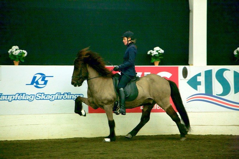 Lilja Pálmadóttir & Mói frá Hjaltastöðum. Mynd: KS-deildin.