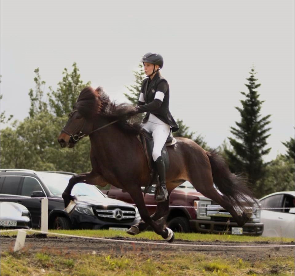 Þórgunnur og Djarfur á flugi. Mynd: Aðsend.