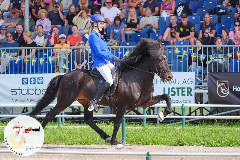 Þórgunnur og Djarfur í góðum gír á Hm. Mynd: KRIJN.DE