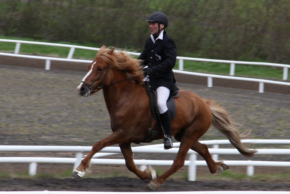 Opið íþróttamót Þyts dagana 17 - 18 Ágúst 2013