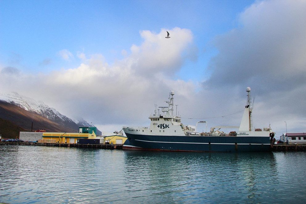 Málmey í Sauðárkrókshöfn en í síðustu viku skilaði Málmeyjan rúmum 136 tonnum í land. MYND: ÓAB