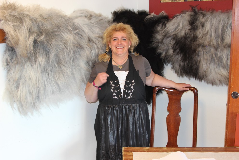 Anna Þóra stendur fyrir sýningu í Grunnskólanum á Hólum á meðan á Landsmóti hestamanna stendur.