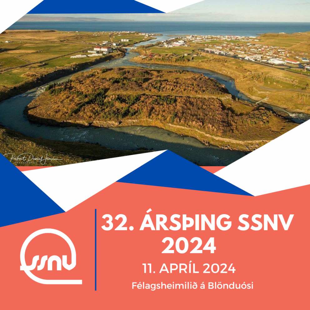 MYND AF VEF SSNV RÓBERT DANÍEL