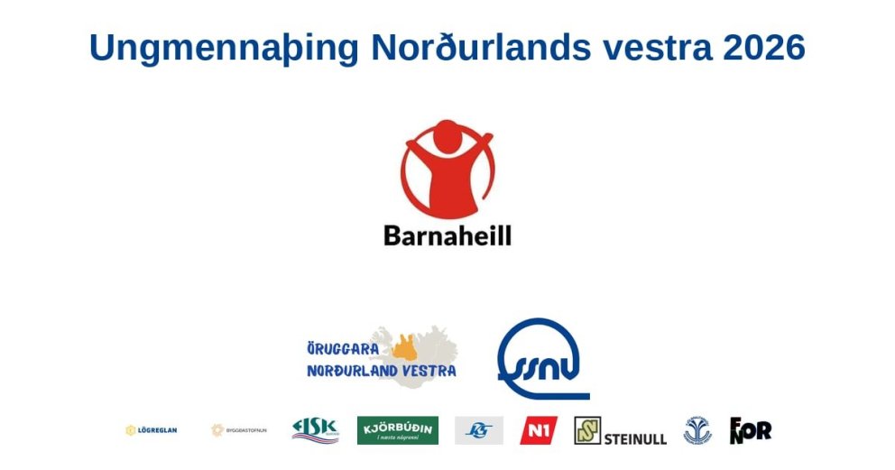 Barnaþing - Frábært framtak. Mynd: Aðsend.