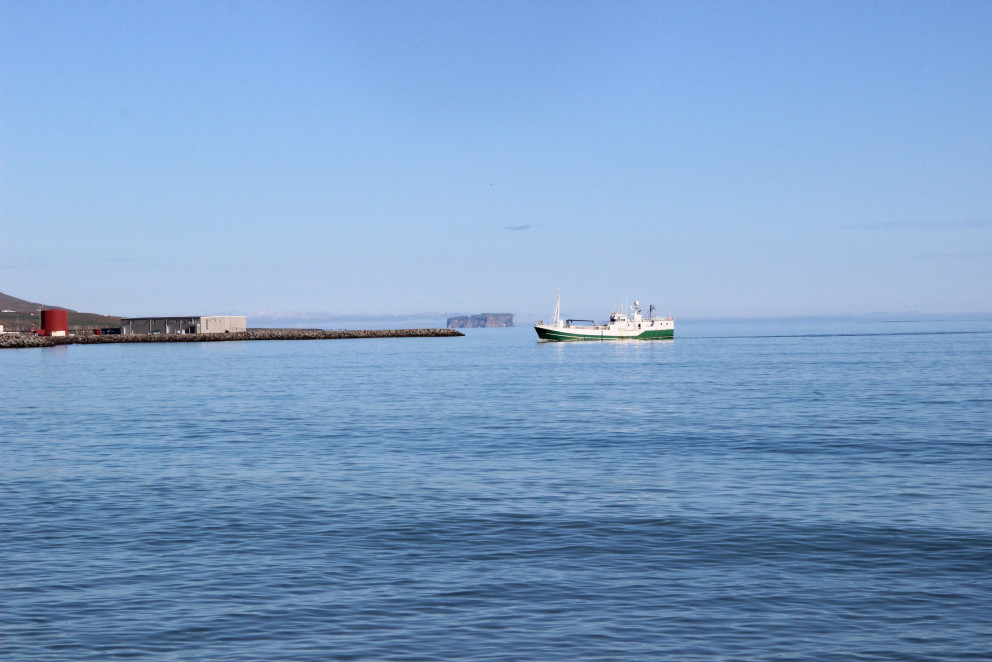 Atvinnuveganefnd skoðar lækkun veiðigjalda