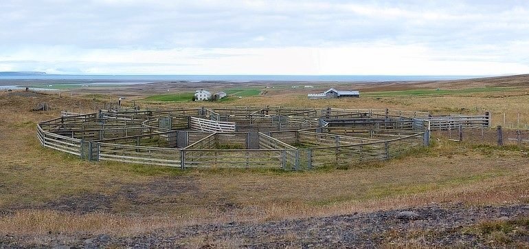 Beinakeldurétt er við Reykjabraut rétt austan og ofan við Beinakeldu. Afréttarlandið er Sauðadalur sem staðsettur er á milli Svínadalsfjalls og Vatnsdalsfjalls. Mynd: hunavatnshreppur.is.