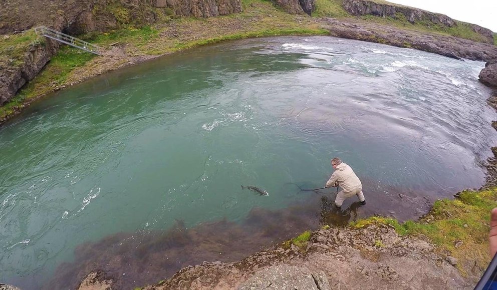 Veitt í Blöndu á fallegum degi. MYND: STEBBI LÍSU
