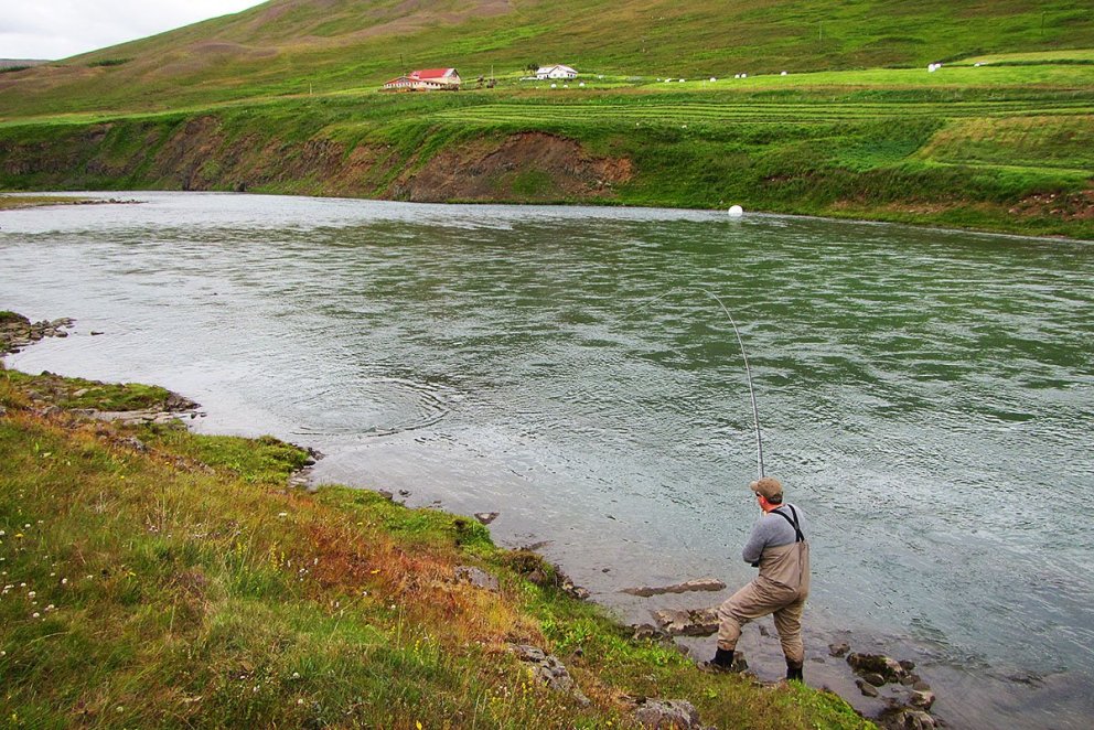 Vaskur veiðmaður rennir fyrir lax í Blöndu. MYND: STEBBI LÍSU