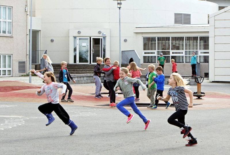 Mynd af vef heilbrigðisráðuneytisins.