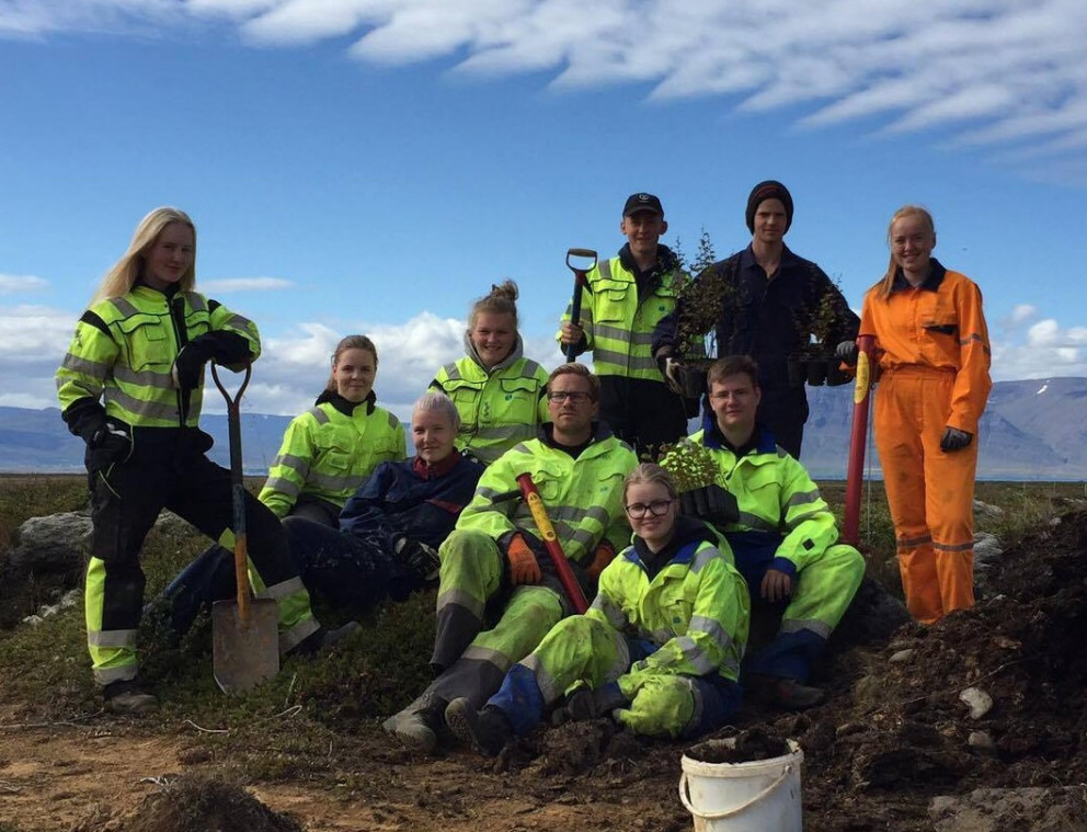 Glaðbeittur hópur ungmenna frá Blöndustöð Landsvirkjunar sveiflar haka og ræktar nýjan Brimnesskóg í Skagafirði.
