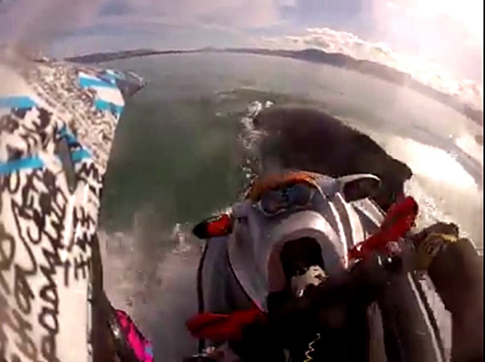 Sigldi á hval í Skagafirði