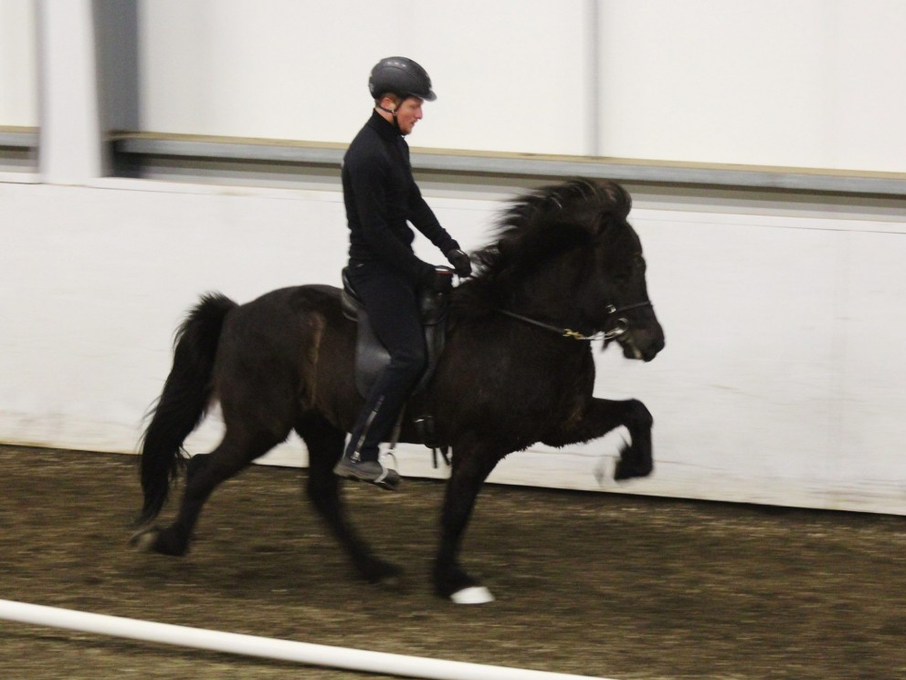 Elvar Logi Friðriksson á Byr frá Grafarkoti: Mynd: Þytur