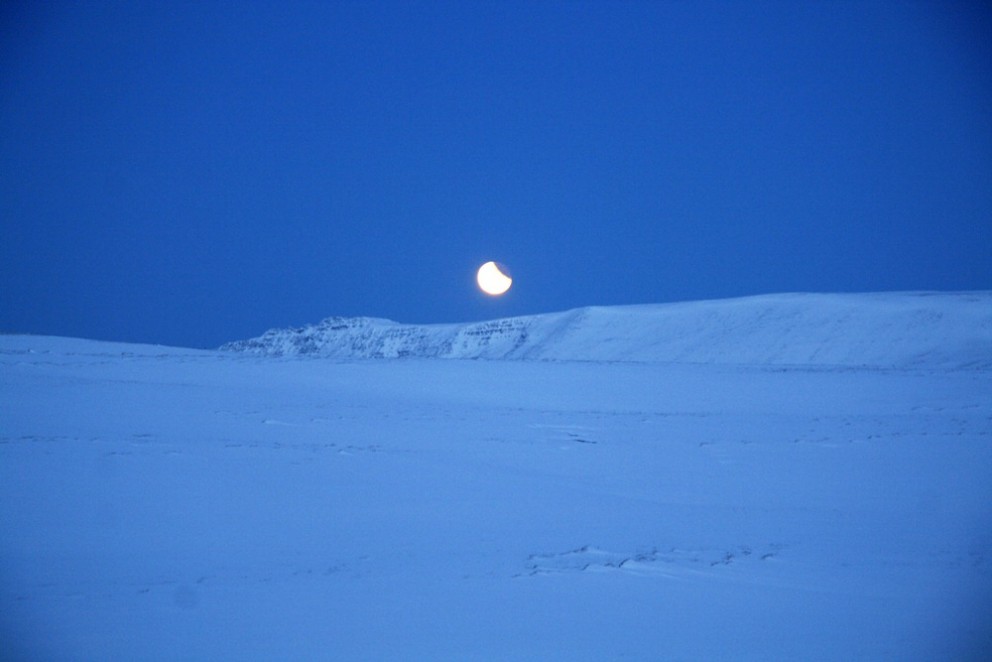 Deildarmyrkvinn sást vel á Norðurlandi