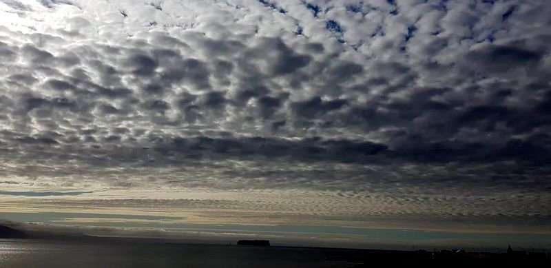 Vestlægar áttir og smá væta