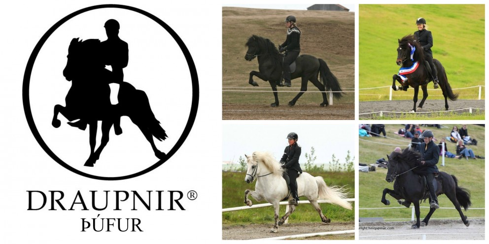 Draupnir/Þúfur keppir í KS-Deildinni í vetur