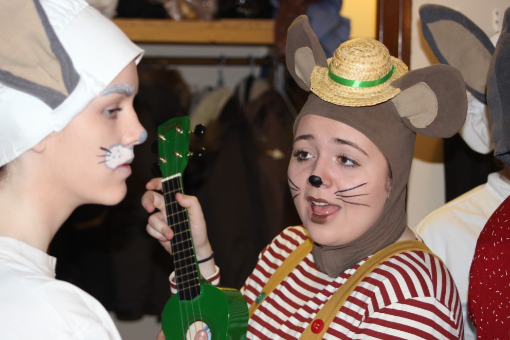 Aukasýningar á Dýrunum í Hálsaskógi