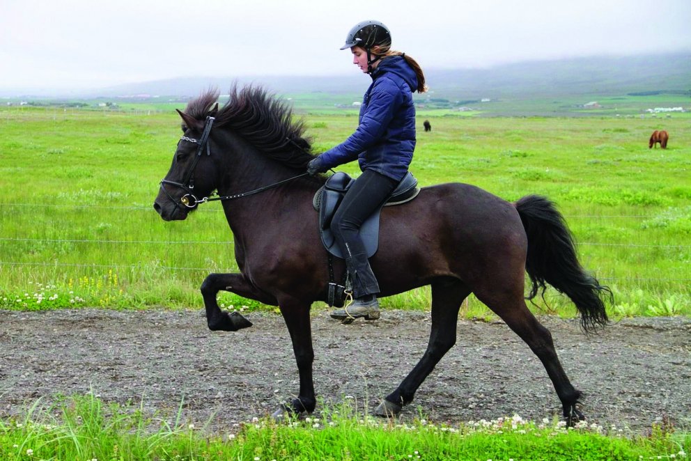 Vinirnir Klettur og Stefanía. AÐSEND MYND