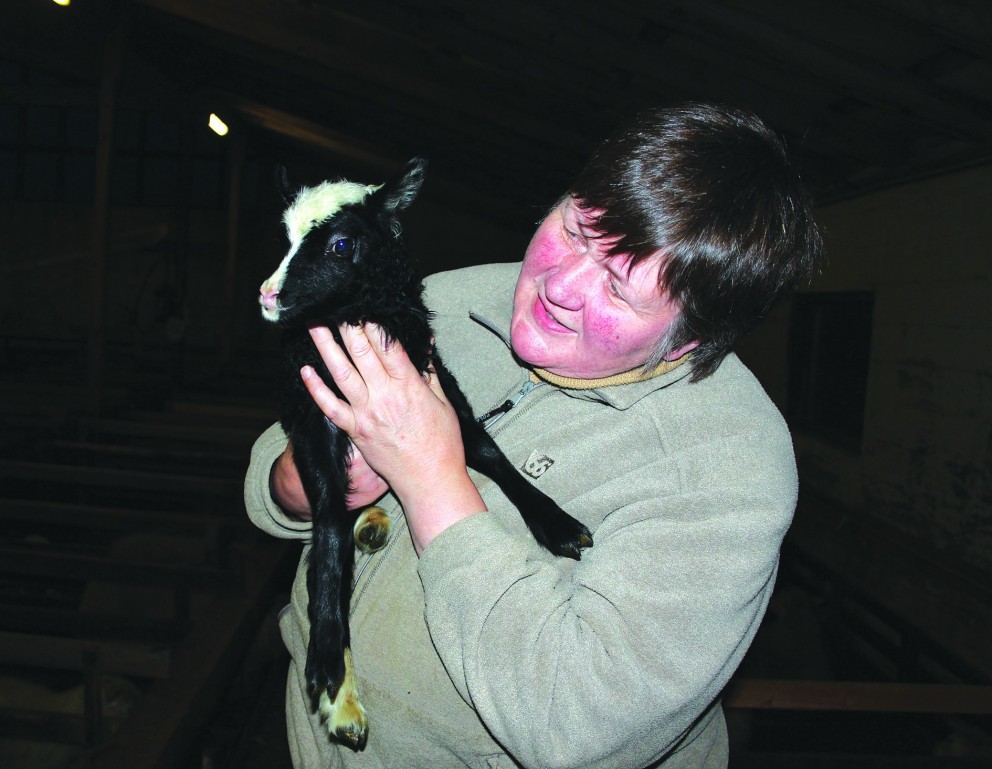 Elín Ása Ólafsdóttir með fallegt lamb úr Miðhópi. Mynd: úr einkasafni.