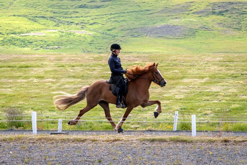Flott par á þeysireið, Mette Manseth og Eygló frá Þúfum. Aðsend mynd.